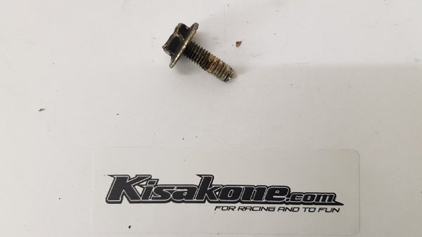 Flanged Hex. Screw M6 X 18, Scotch Grip (Ski-Doo Summit 800R E-TEC 2017) 250000418