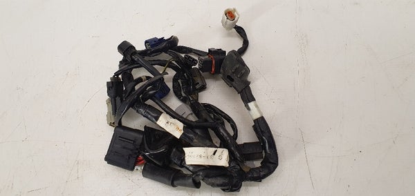 Wire Harness Assy (YAMAHA YZF450 2010) 33D-82590-00-00 33D825900000