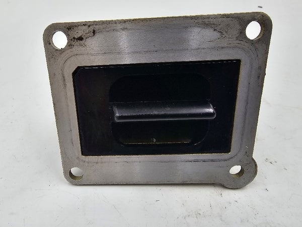 VALVE-ASSY-REED (KAWASAKI KX125 2007) 12021-0012